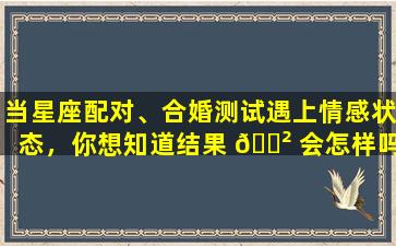 当星座配对、合婚测试遇上情感状态，你想知道结果 🌲 会怎样吗
